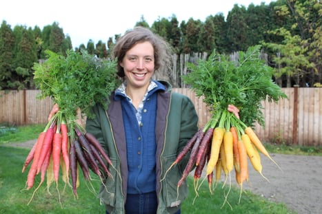 Carrots, carrot trial, Linda, malbec, purple sun, purple hae, rainbow, cornucopia 102318  (5)